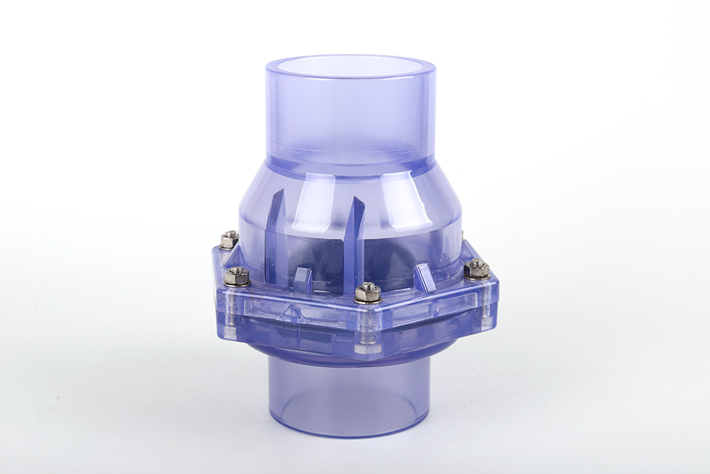 恭城透明翻板式止回阀